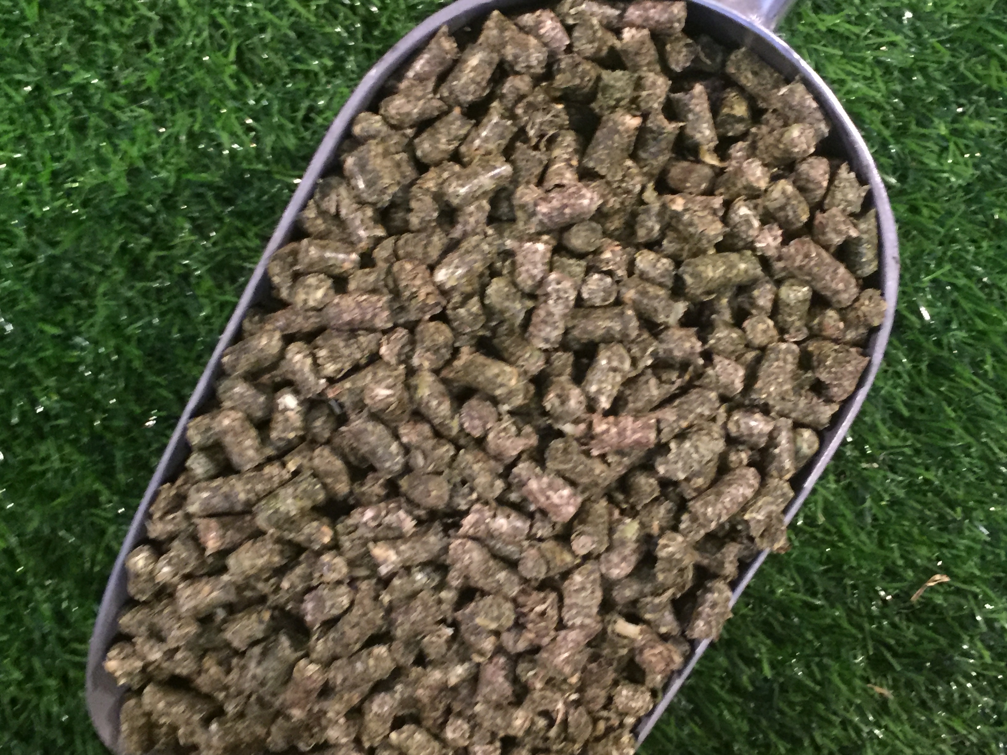 lucerne pellets